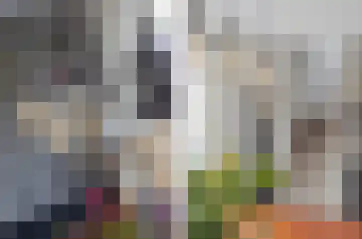 Willem Pompestraat 6 Eindhoven thumbnail 15