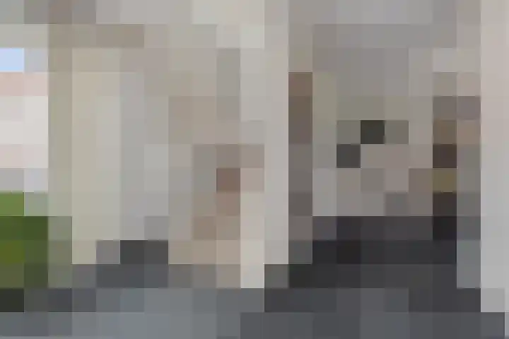 Willem Pompestraat 6 Eindhoven thumbnail 20