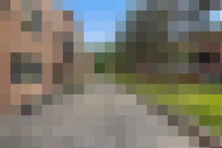 Willem Pompestraat 6 Eindhoven thumbnail 7