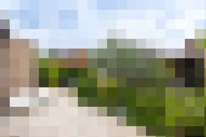 Willem Rodalaan 5 Doetinchem thumbnail 21