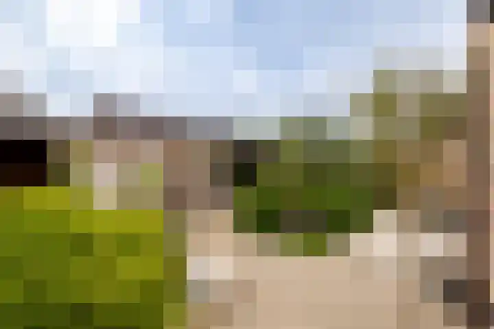 Willem Rodalaan 5 Doetinchem thumbnail 22