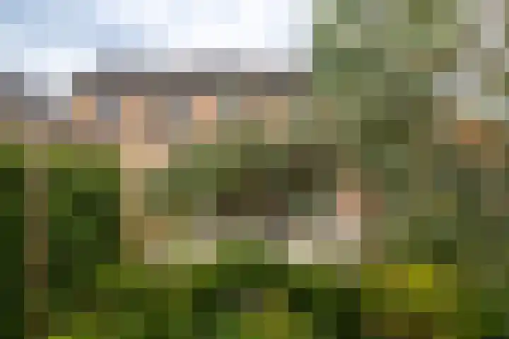 Willem Rodalaan 5 Doetinchem thumbnail 25