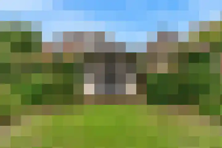 Willem Roodbeenhof 30 Arnhem thumbnail 49