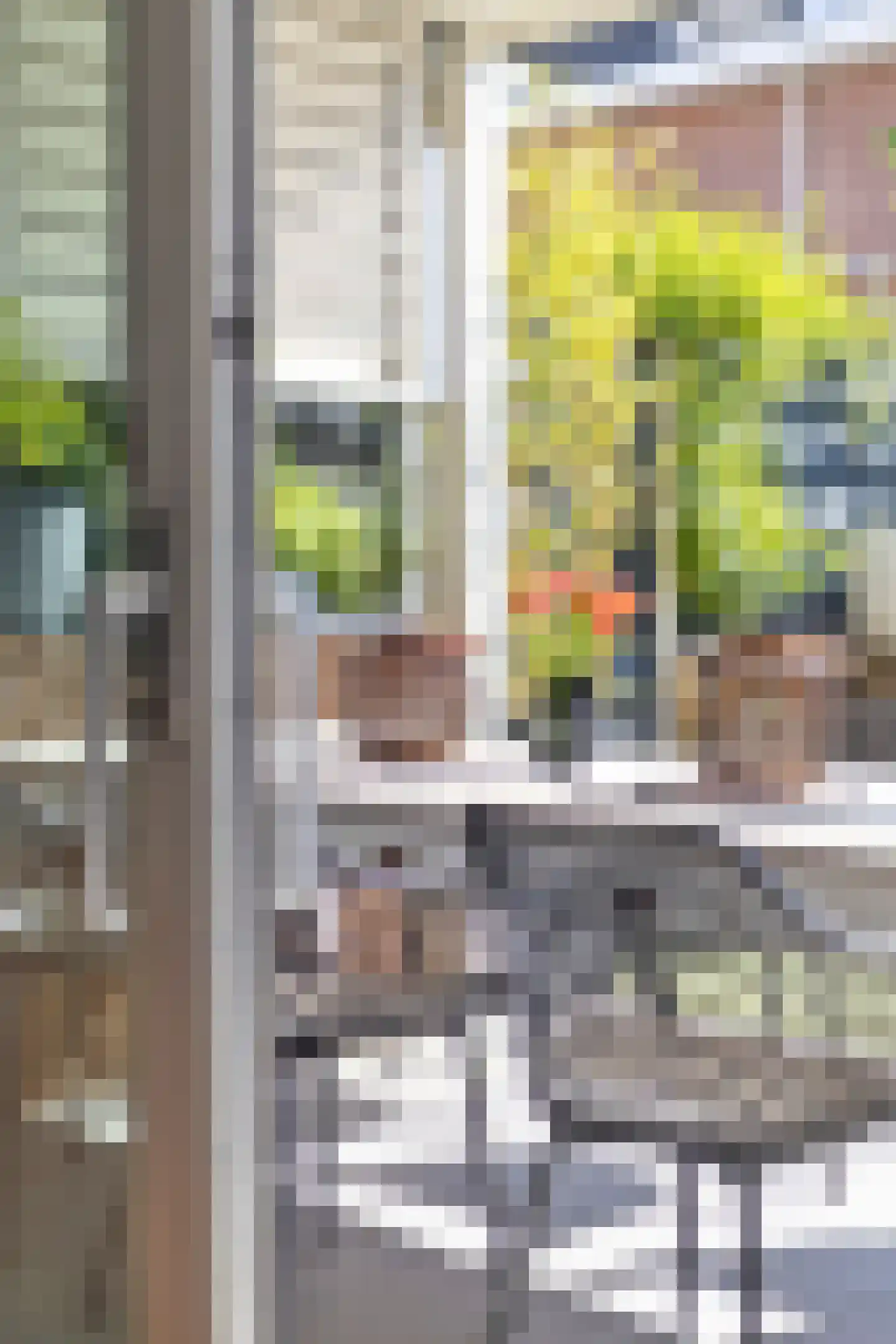 Willem Roodbeenhof 7 Arnhem thumbnail 25