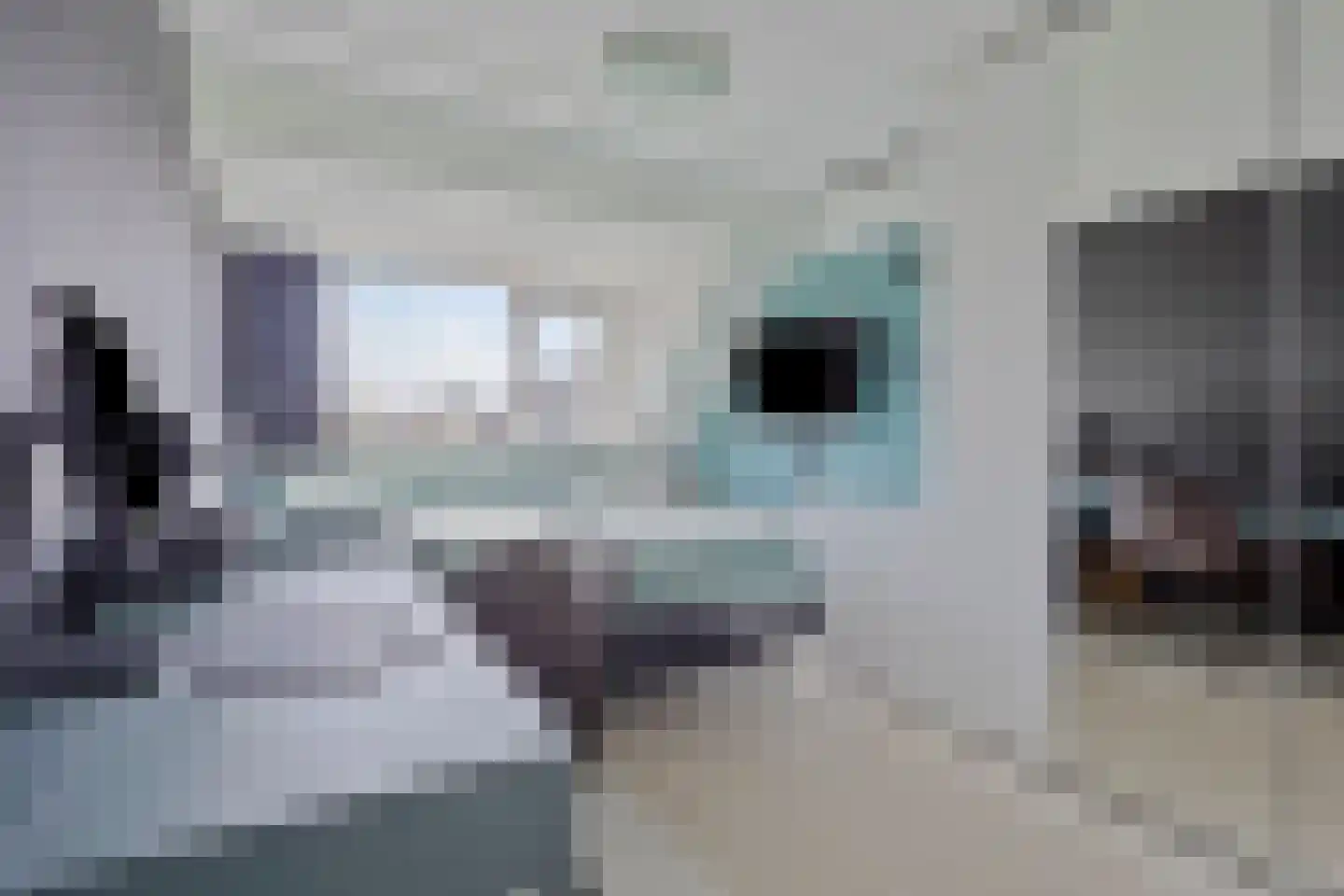 Willem Roodbeenhof 7 Arnhem thumbnail 28