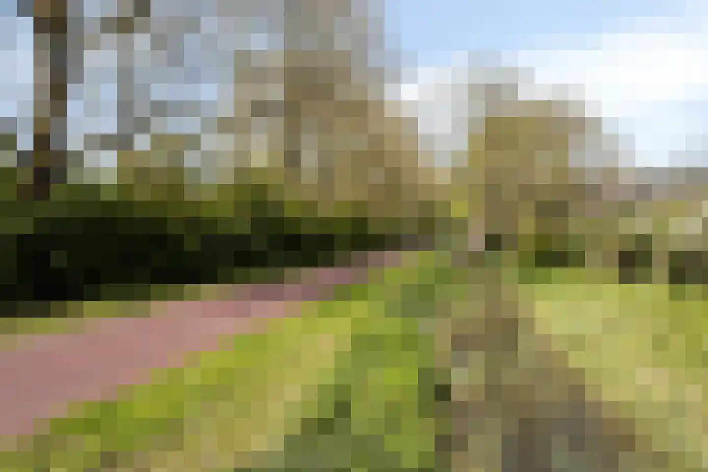 Willem Roodbeenhof 7 Arnhem thumbnail 49