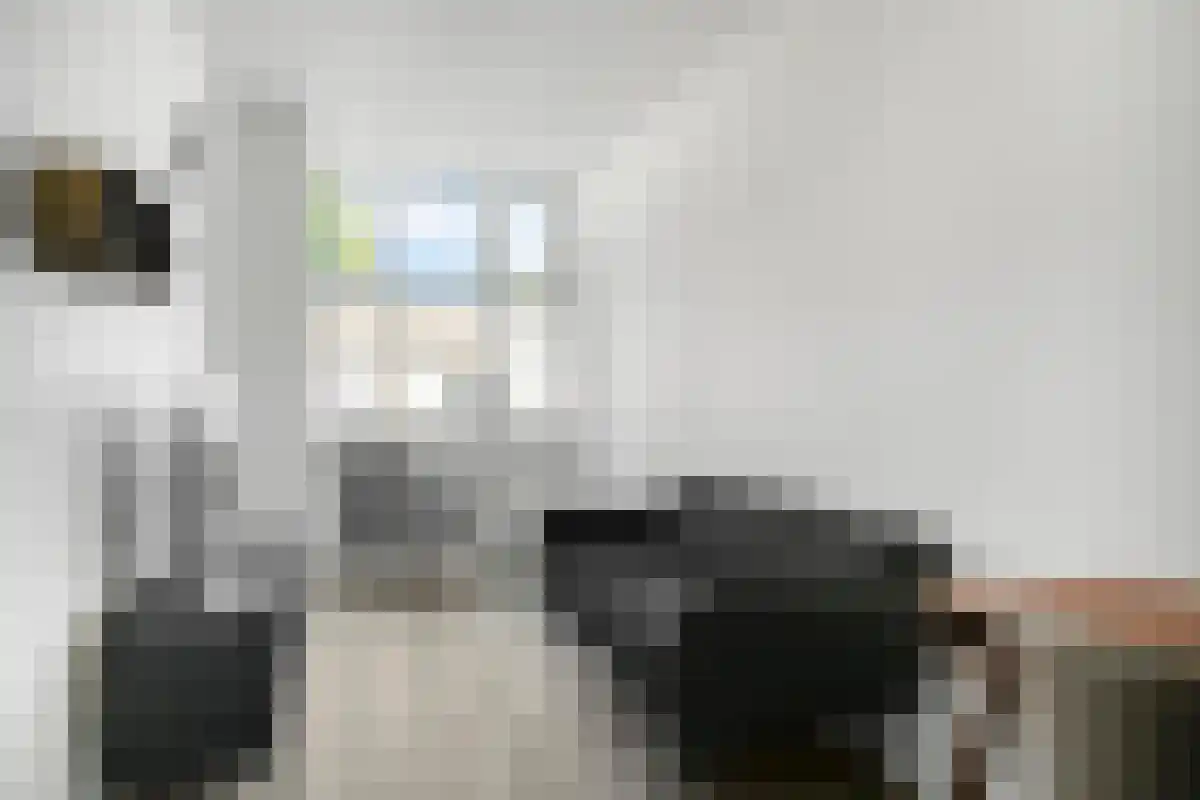 Willem Rosestraat Eindhoven thumbnail 5
