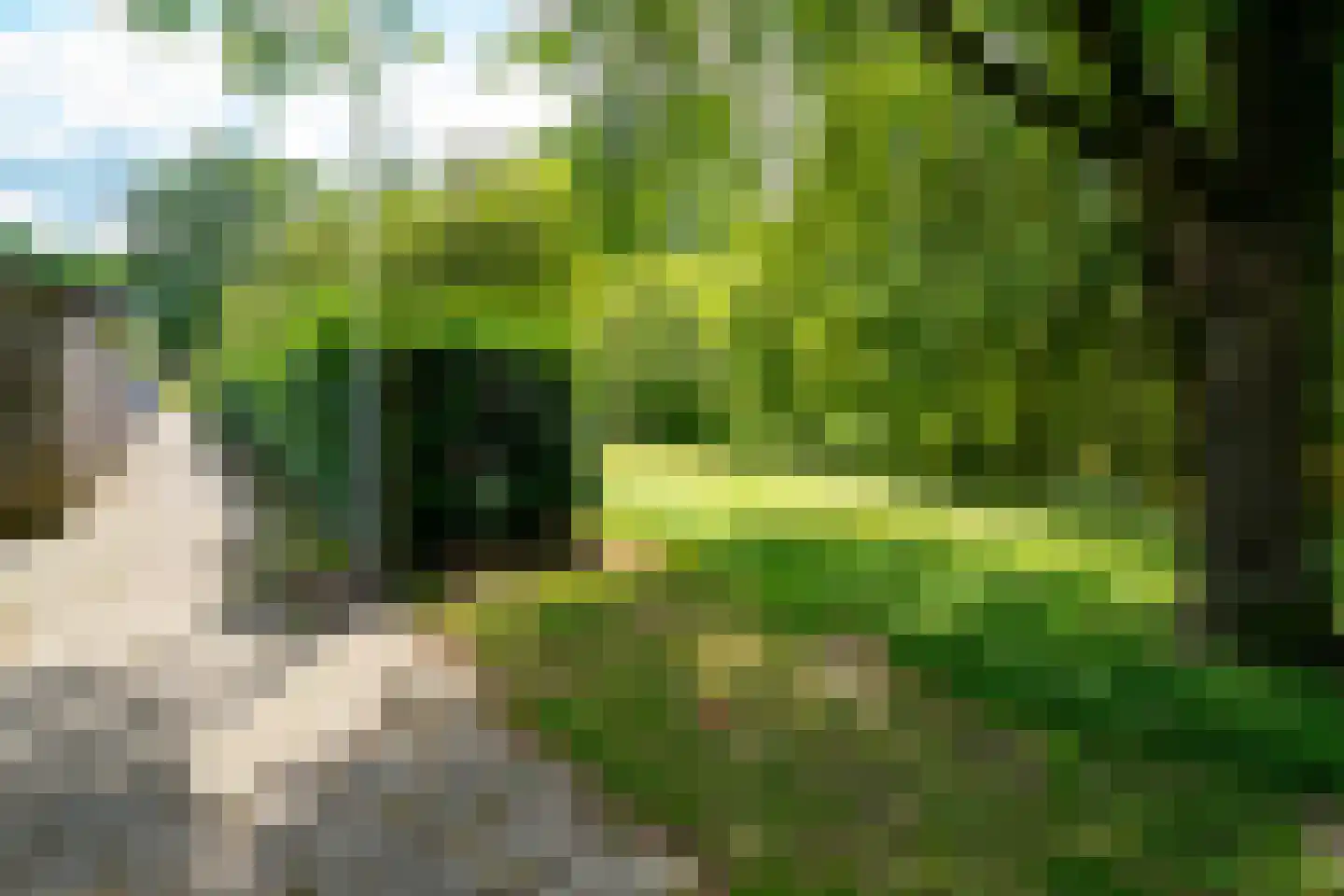 Willem Royaardsstraat 105 Hengelo thumbnail 33