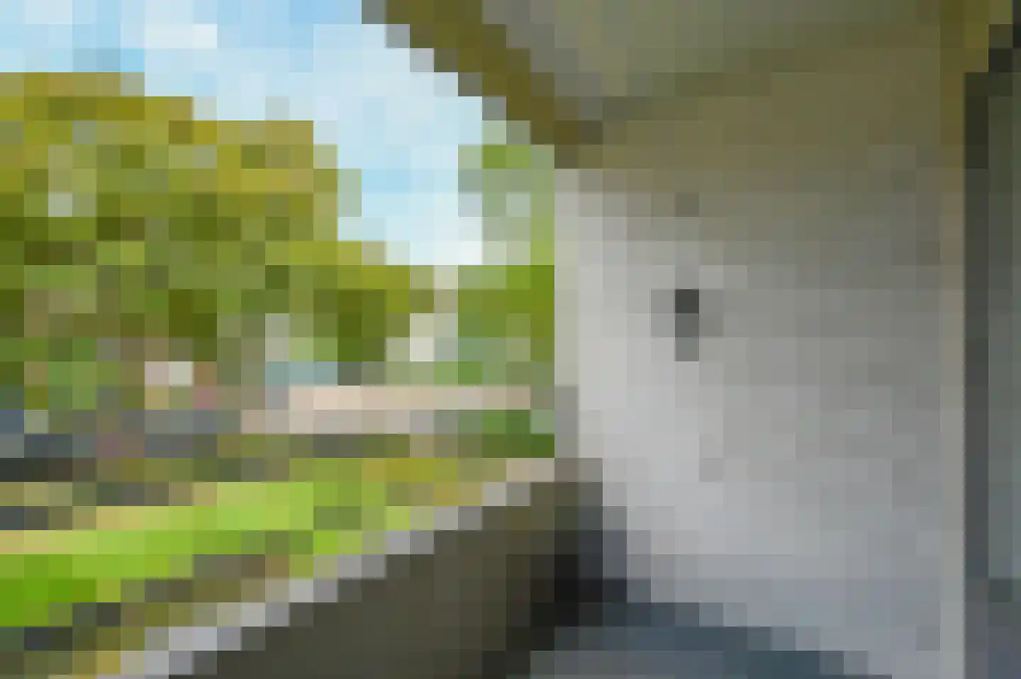Willem Royaardsstraat 2 Rijswijk thumbnail 16