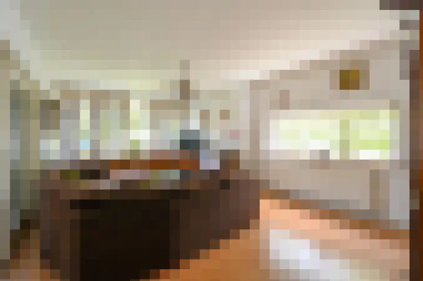 Willem Royaardsstraat 2 Rijswijk thumbnail 8