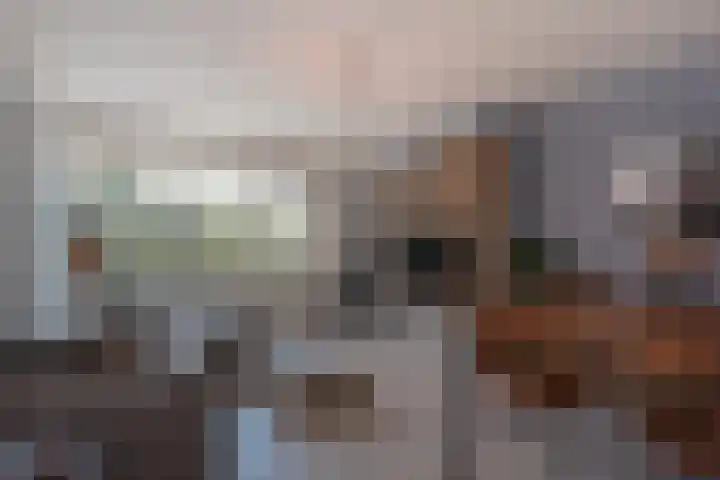 Willem Royaardsstraat 38 Rijswijk thumbnail 17
