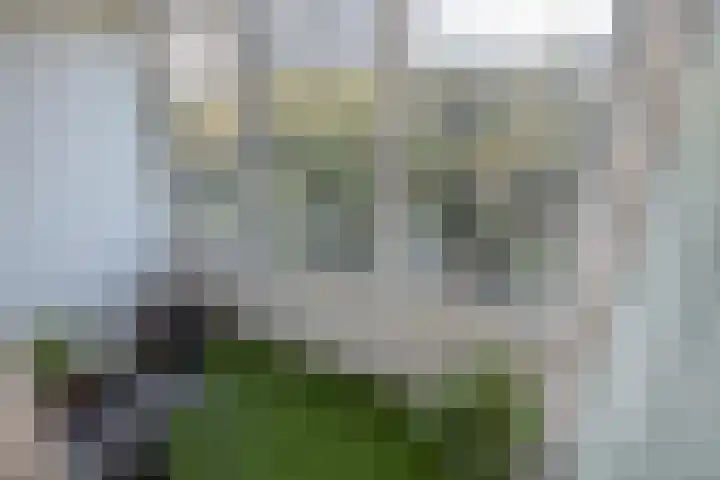 Willem Royaardsstraat 38 Rijswijk thumbnail 27