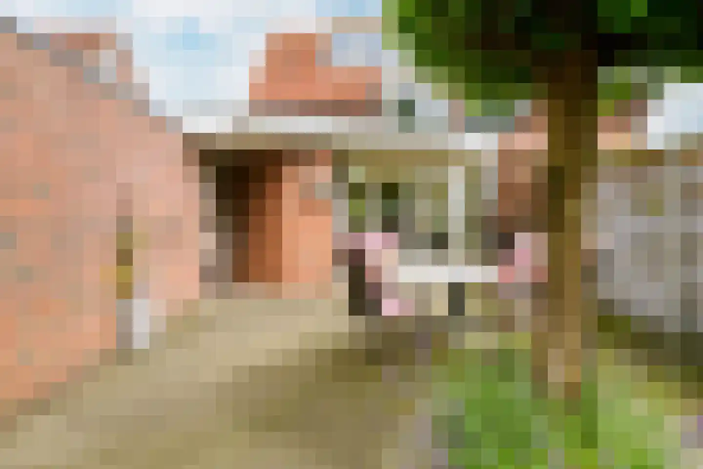Willem Royaardsstraat 52 Hengelo thumbnail 37