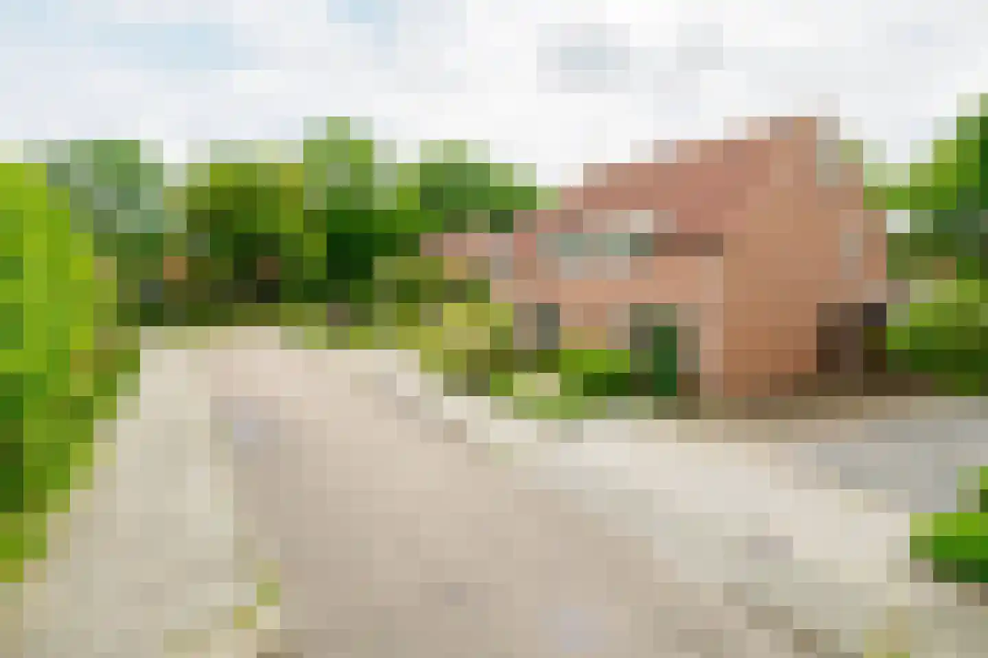 Willem Royaardsstraat 52 Hengelo thumbnail 43