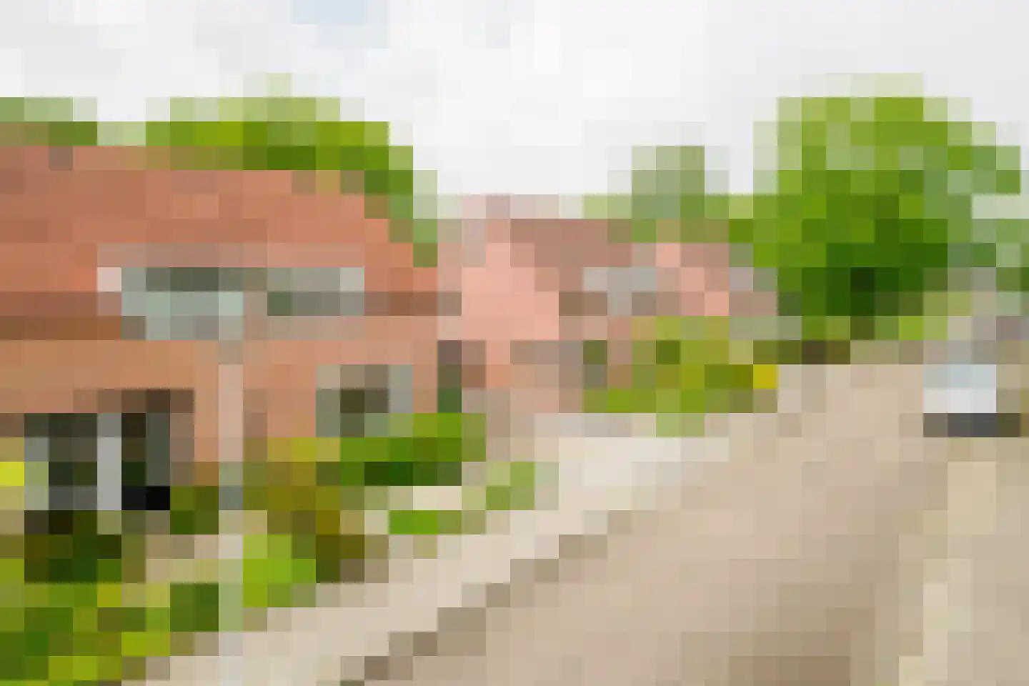 Willem Royaardsstraat 52 Hengelo thumbnail 44