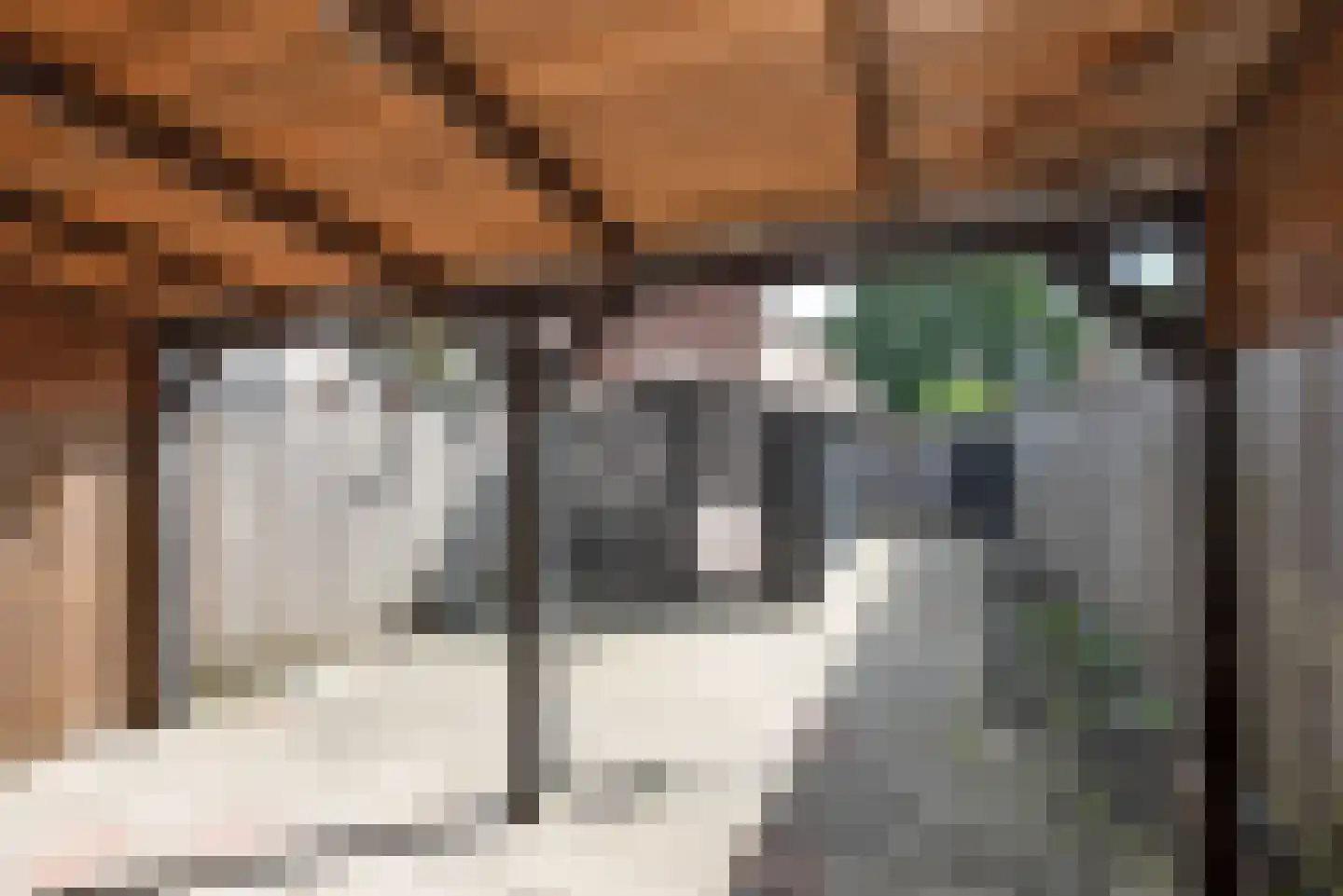 Willem Royaardsstraat 53 Hengelo thumbnail 4