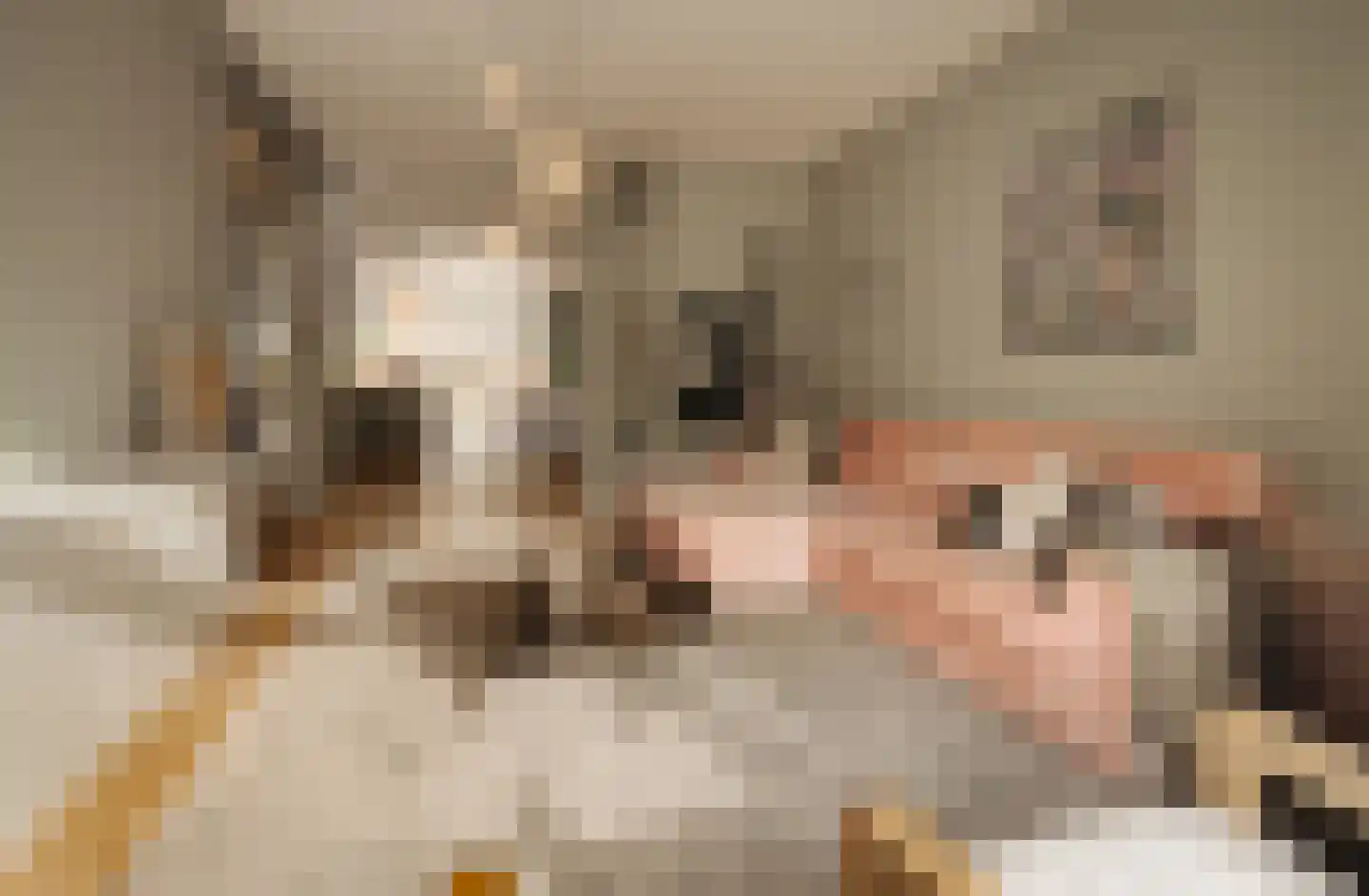 Willem Royaardsstraat 6 Amsterdam thumbnail 9