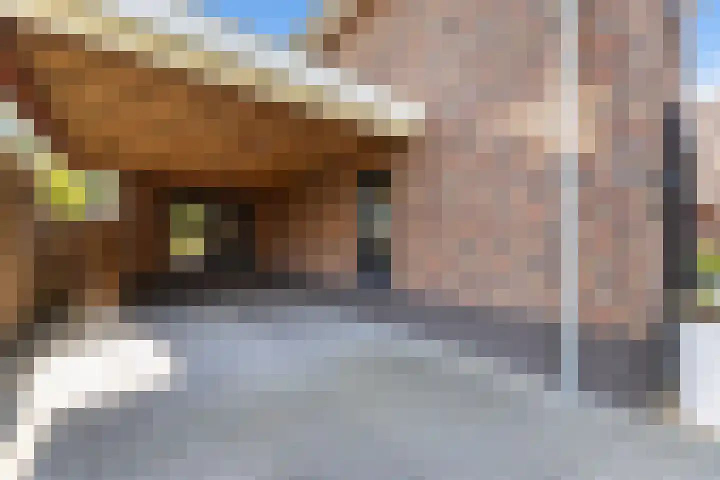 Willem Royaardsstraat 82 Hengelo thumbnail 11