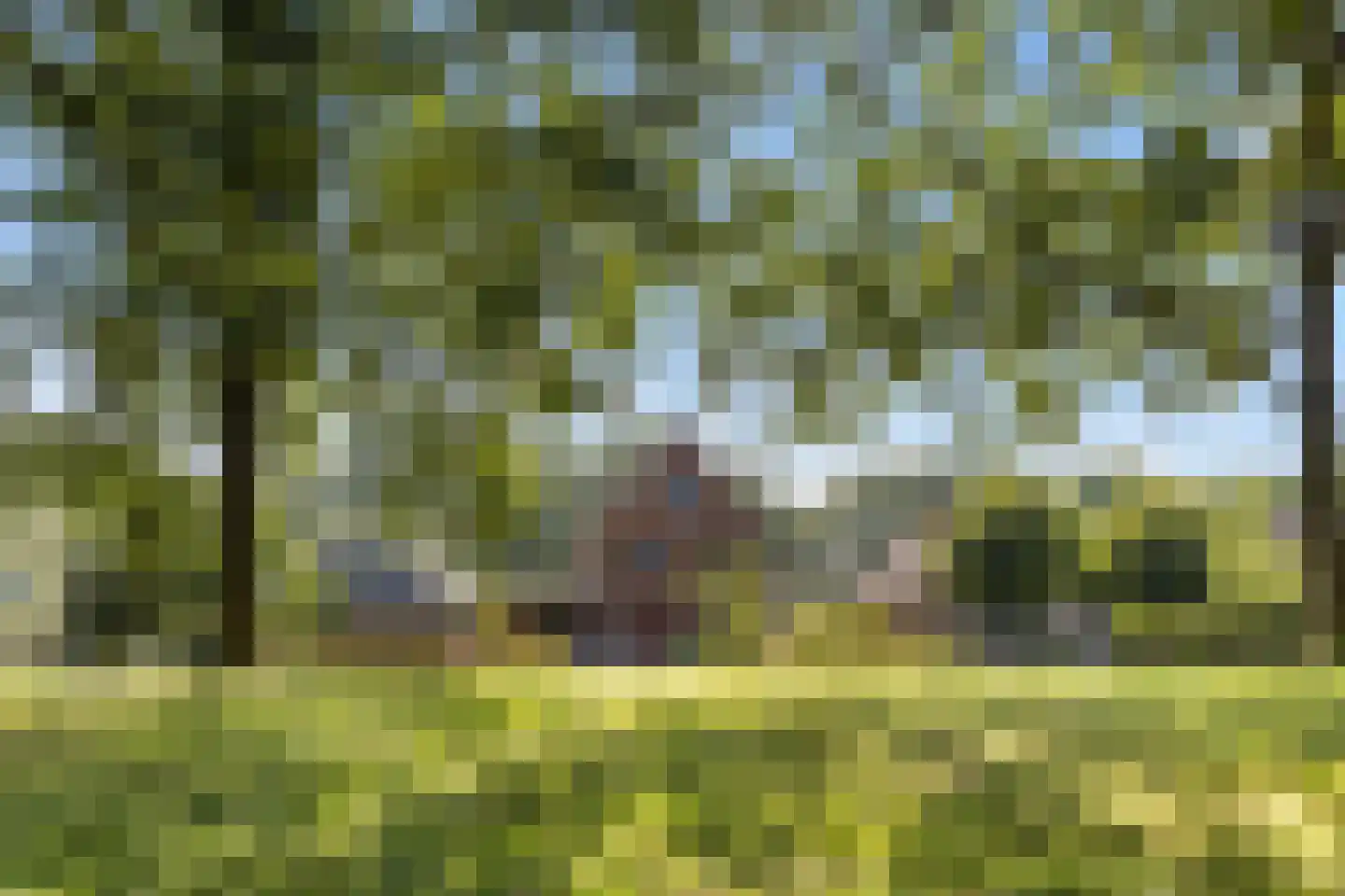 Willem Royaardsstraat 82 Hengelo thumbnail 5