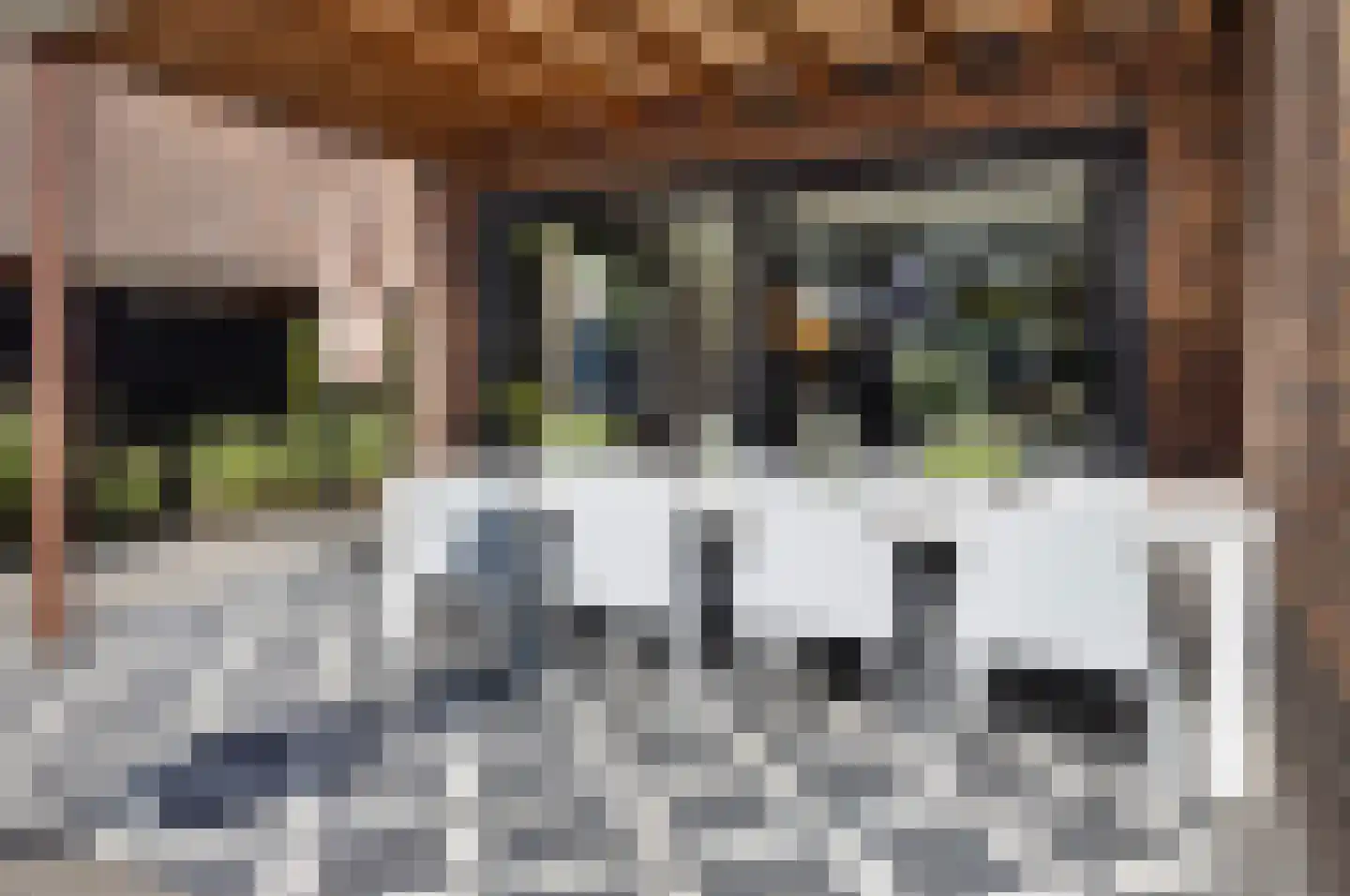 Willem Royaardsstraat 82 Hengelo thumbnail 63