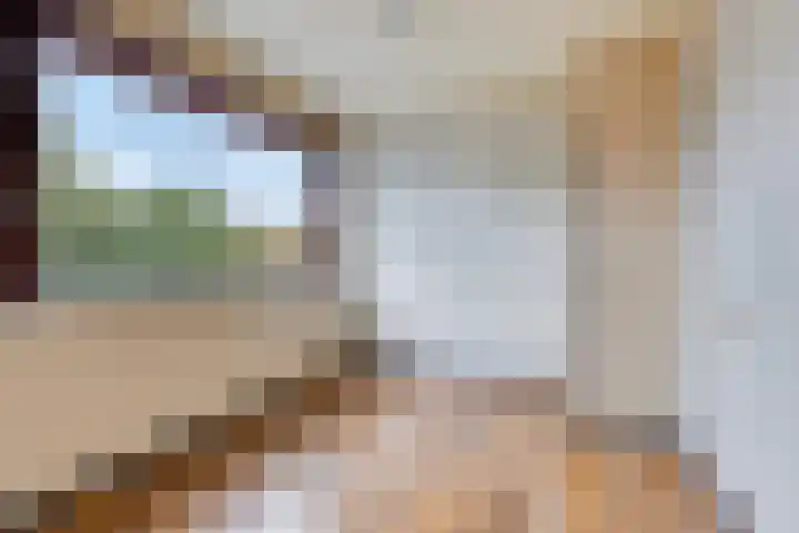 Willem Santemastraat 3 Sneek thumbnail 20