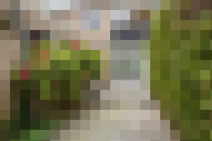 Willem Santemastraat 3 Sneek thumbnail 24