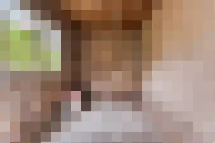 Willem Santemastraat 3 Sneek thumbnail 26