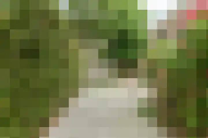 Willem Santemastraat 3 Sneek thumbnail 29