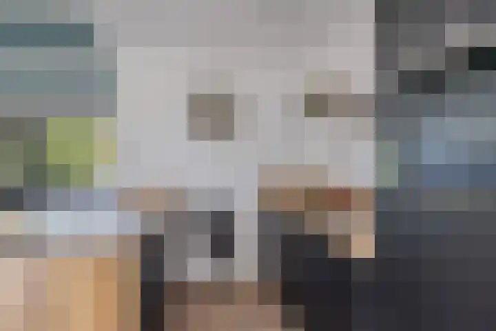 Willem Santemastraat 8 Sneek thumbnail 10
