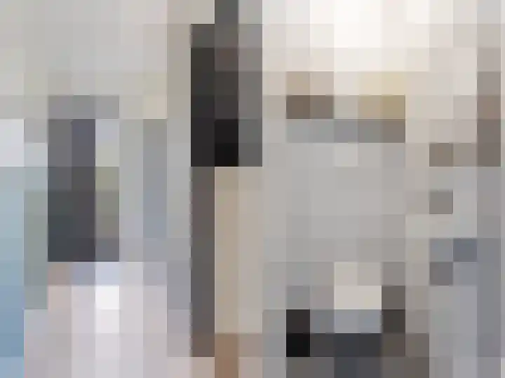 Willem Santemastraat 8 Sneek thumbnail 17