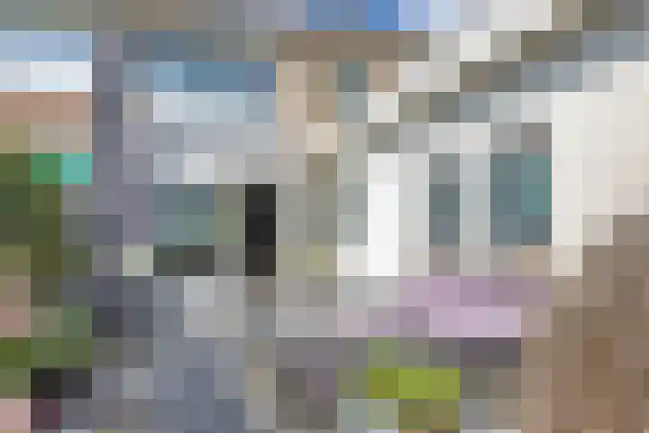 Willem Santemastraat 8 Sneek thumbnail 29