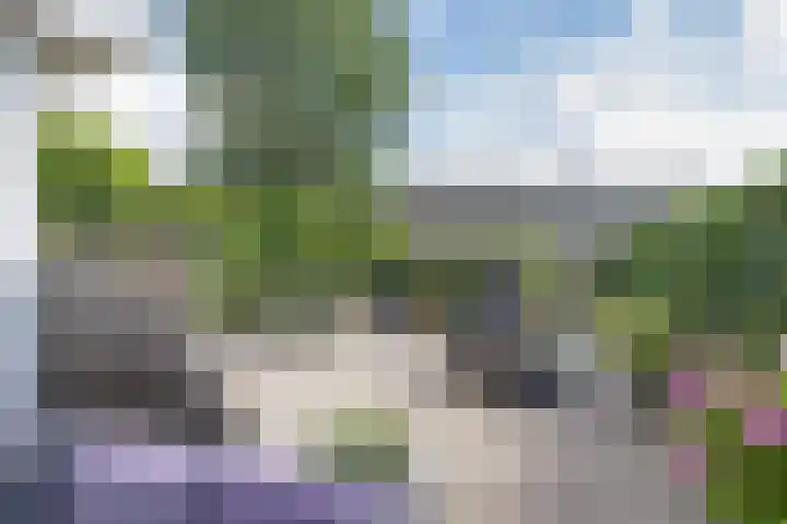 Willem Santemastraat 8 Sneek thumbnail 30