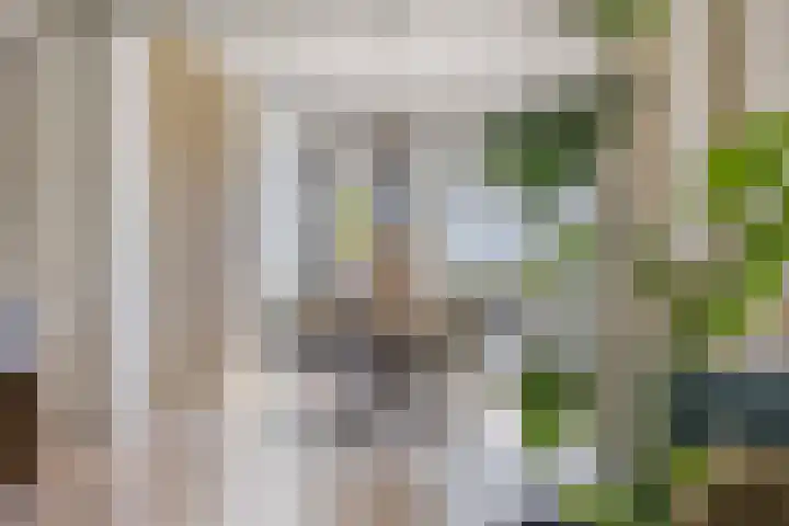 Willem Santemastraat 8 Sneek thumbnail 6