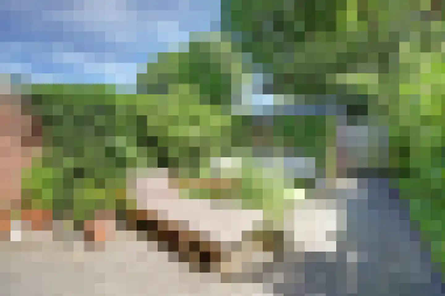 Willem Schippersweg 14 Zwijndrecht thumbnail 27
