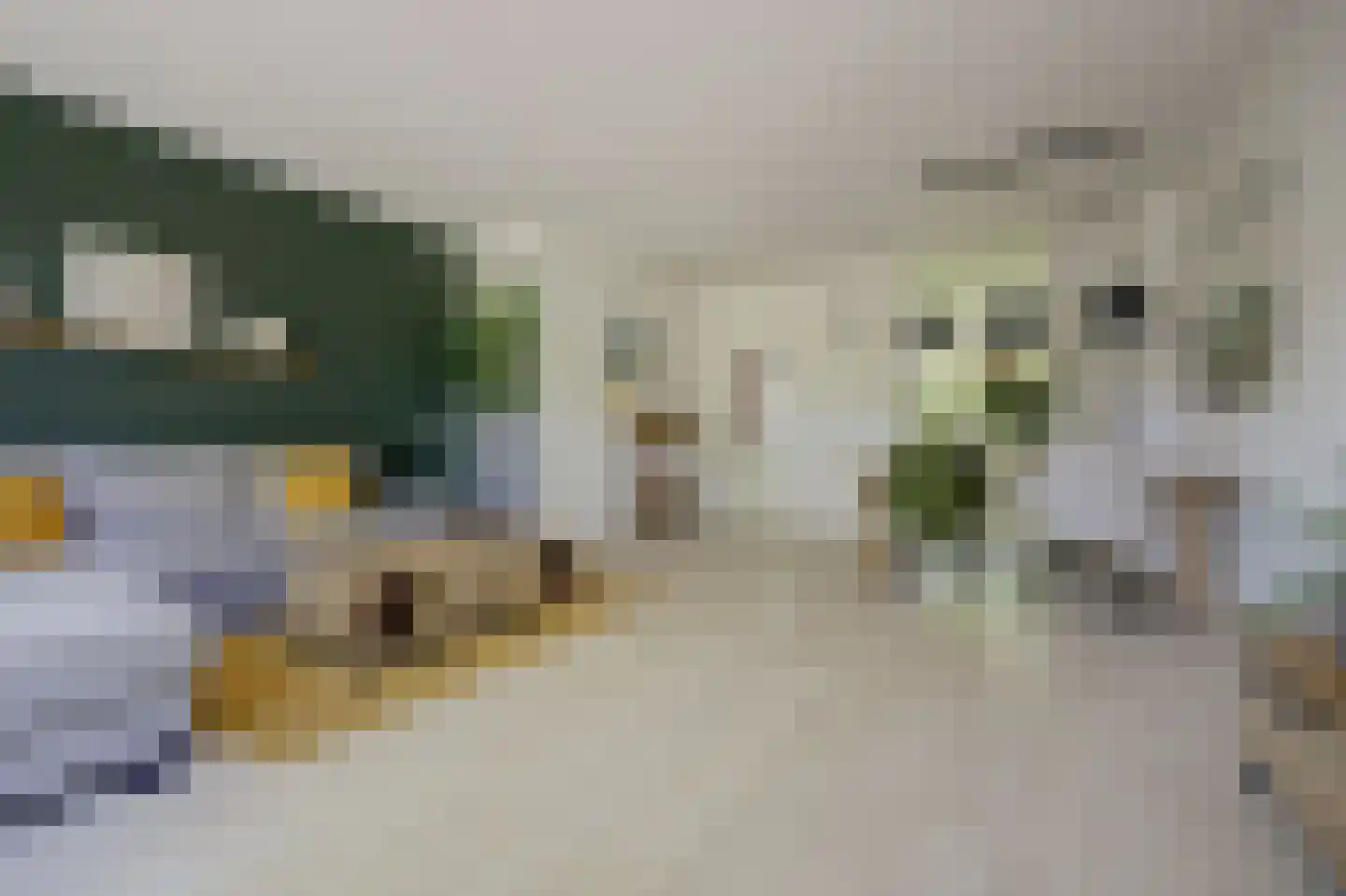 Willem Schippersweg 14 Zwijndrecht thumbnail 8