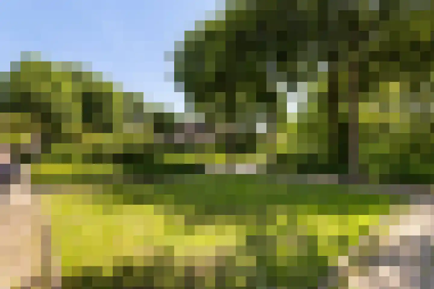 Willem Schippersweg 30 Zwijndrecht thumbnail 55