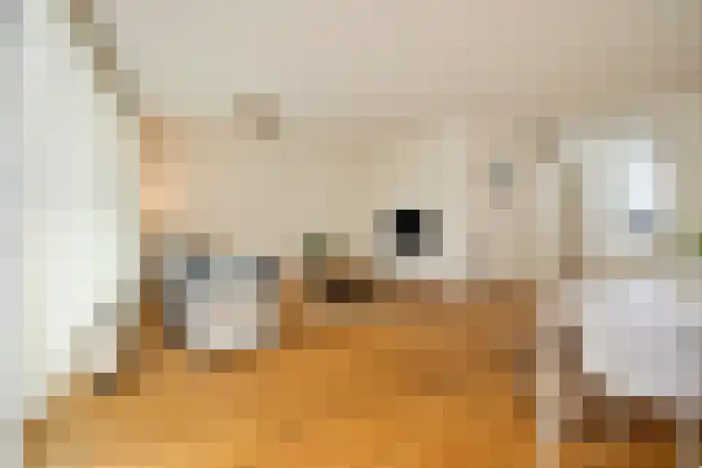 Willem Schorerstraat 11 Eindhoven thumbnail 5