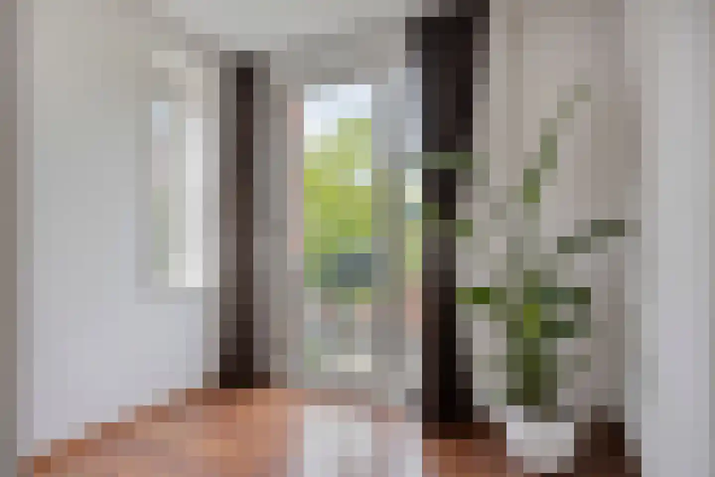 Willem Schorerstraat 19 Eindhoven thumbnail 26