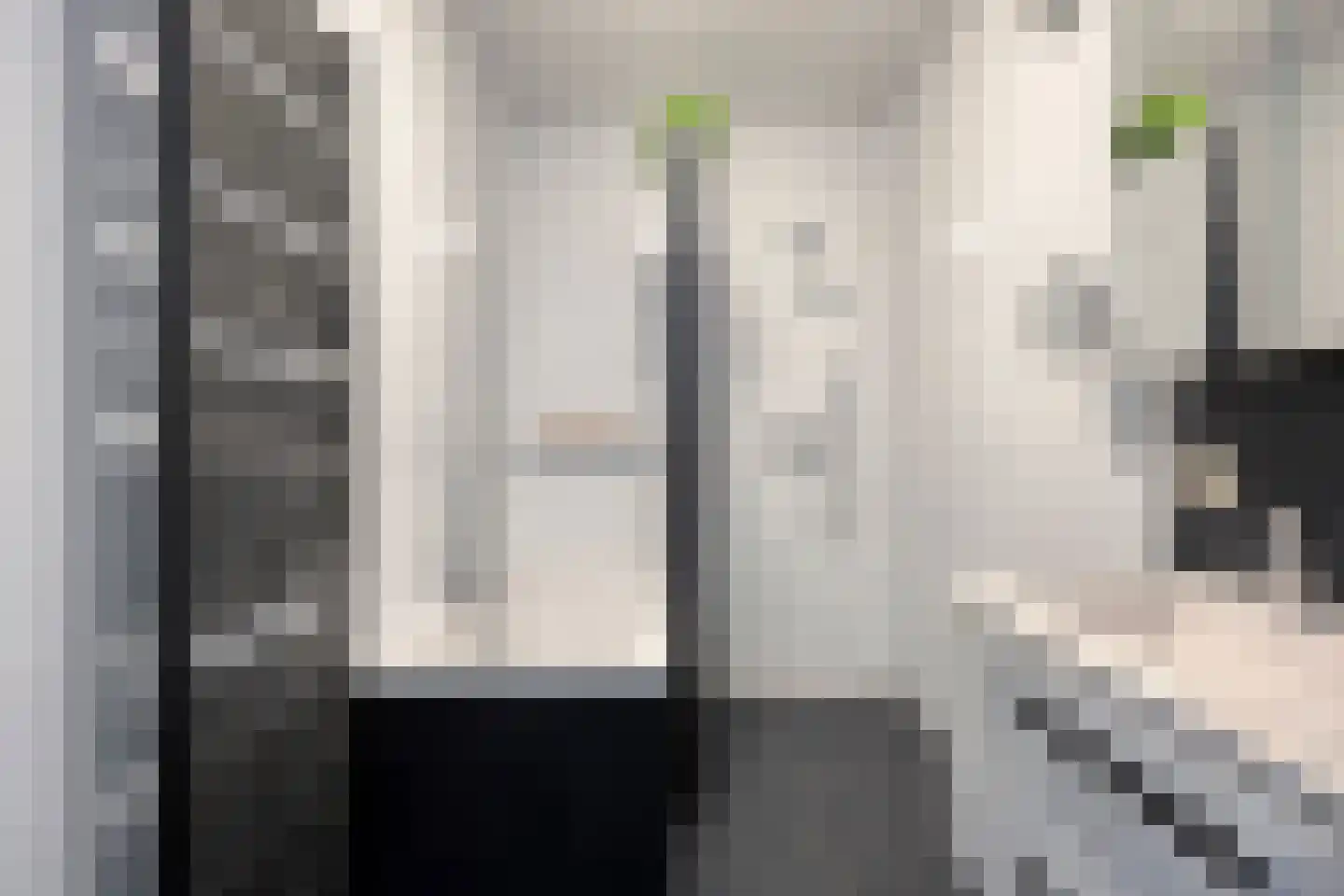 Willem Schorerstraat 19 Eindhoven thumbnail 33