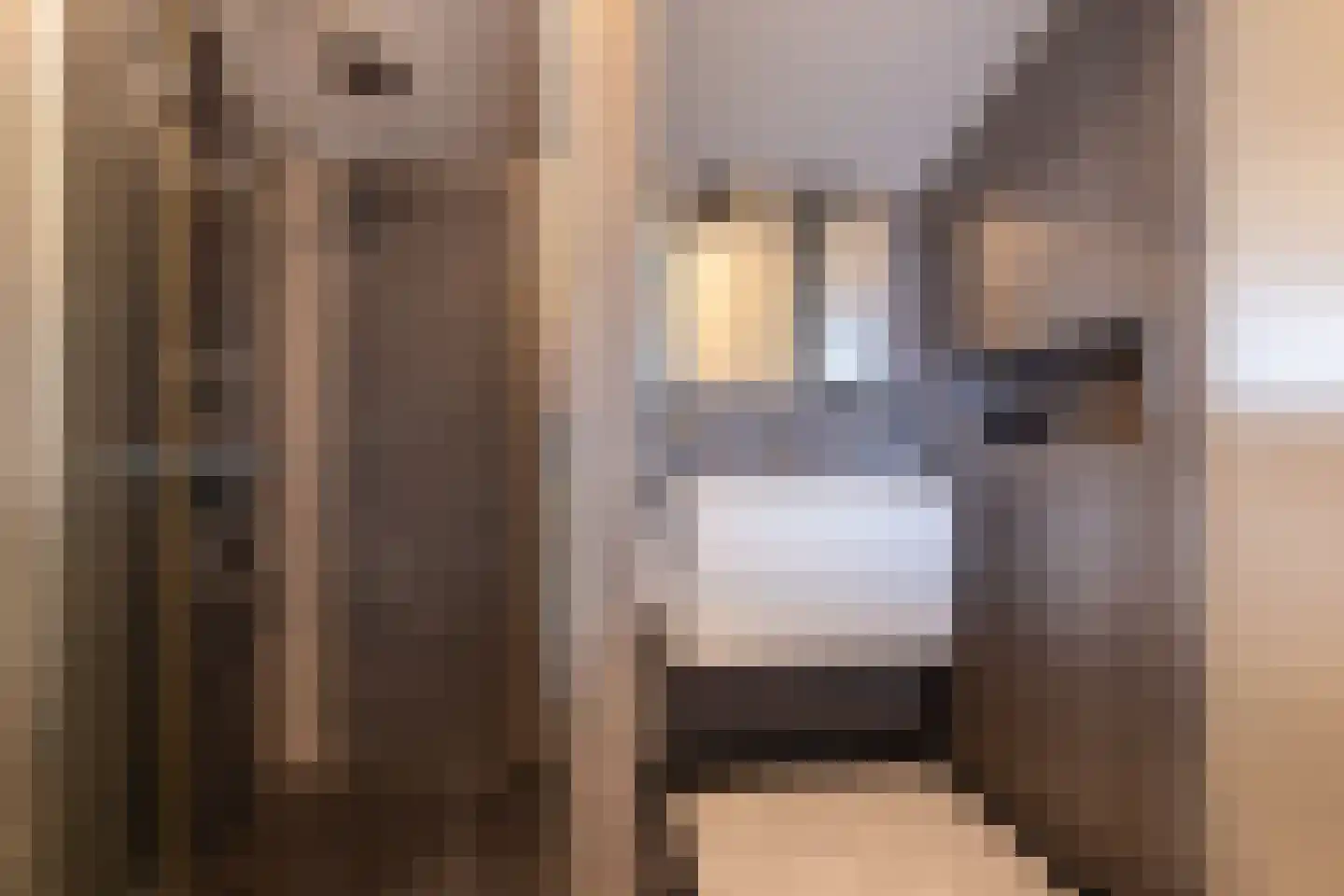 Willem Schorerstraat 9 Eindhoven thumbnail 47