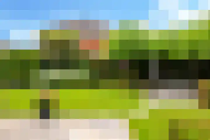 Willem Schuurmanlaan 1 's-Heerenberg thumbnail 22