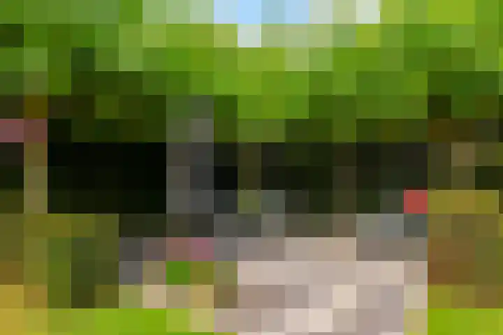 Willem Schuurmanlaan 1 's-Heerenberg thumbnail 23