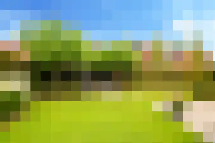 Willem Schuurmanlaan 1 's-Heerenberg thumbnail 24