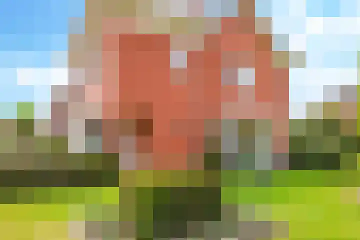 Willem Schuurmanlaan 1 's-Heerenberg thumbnail 26