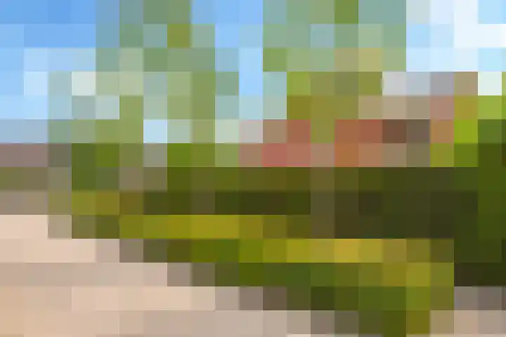 Willem Schuurmanlaan 1 's-Heerenberg thumbnail 60