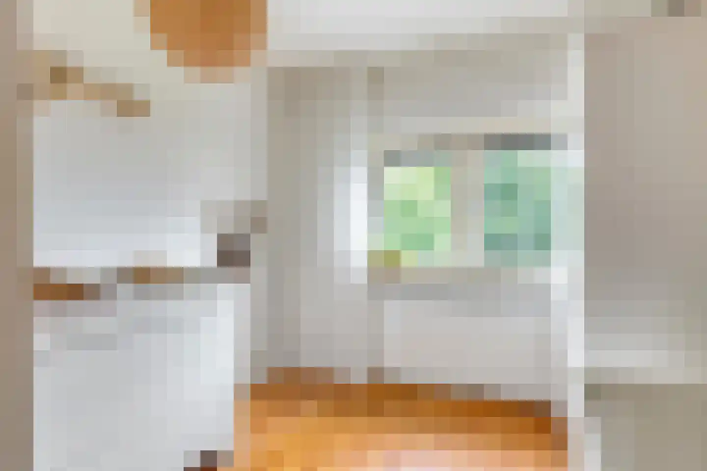 Willem Schuurmanlaan 29 's-Heerenberg thumbnail 32
