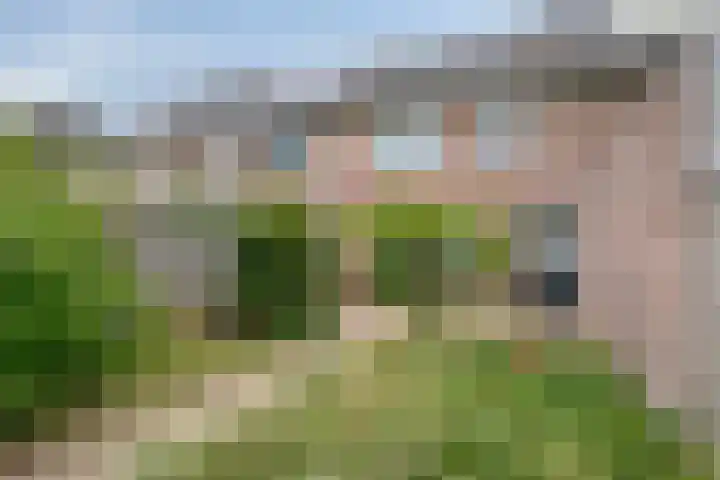 Willem Sengershof 16 Nuenen thumbnail 30