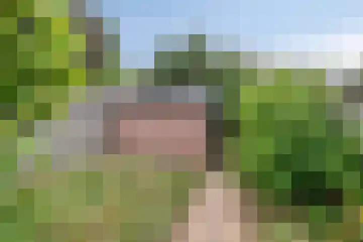 Willem Sengershof 16 Nuenen thumbnail 33