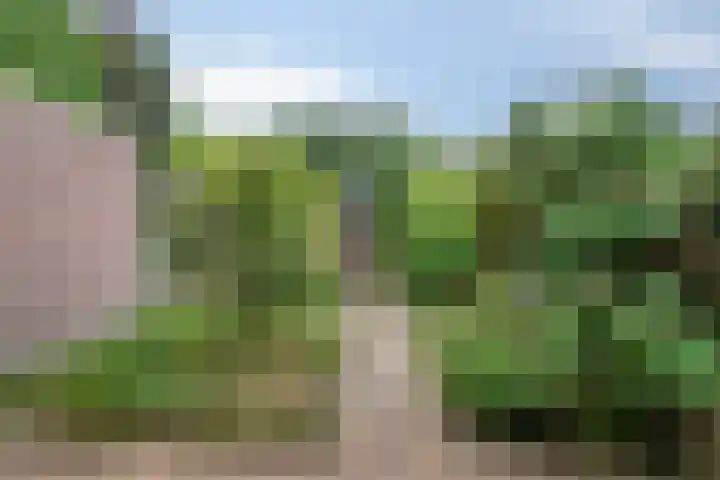 Willem Sengershof 16 Nuenen thumbnail 4