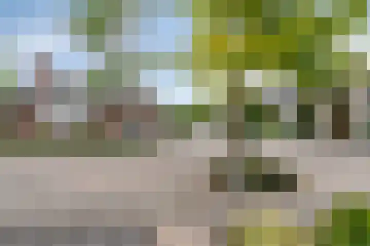 Willem Sengershof 16 Nuenen thumbnail 7